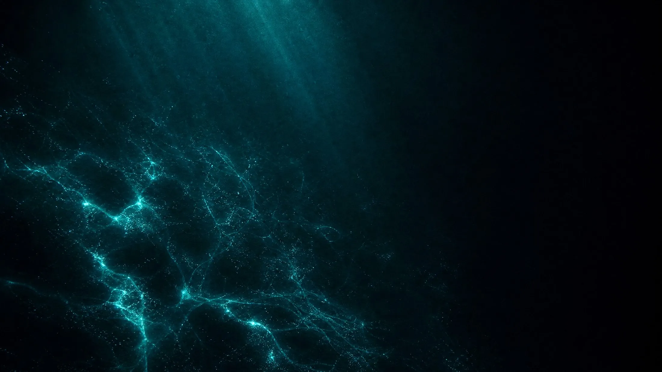 Deep dark water with branching filaments of luminous light suspended in it