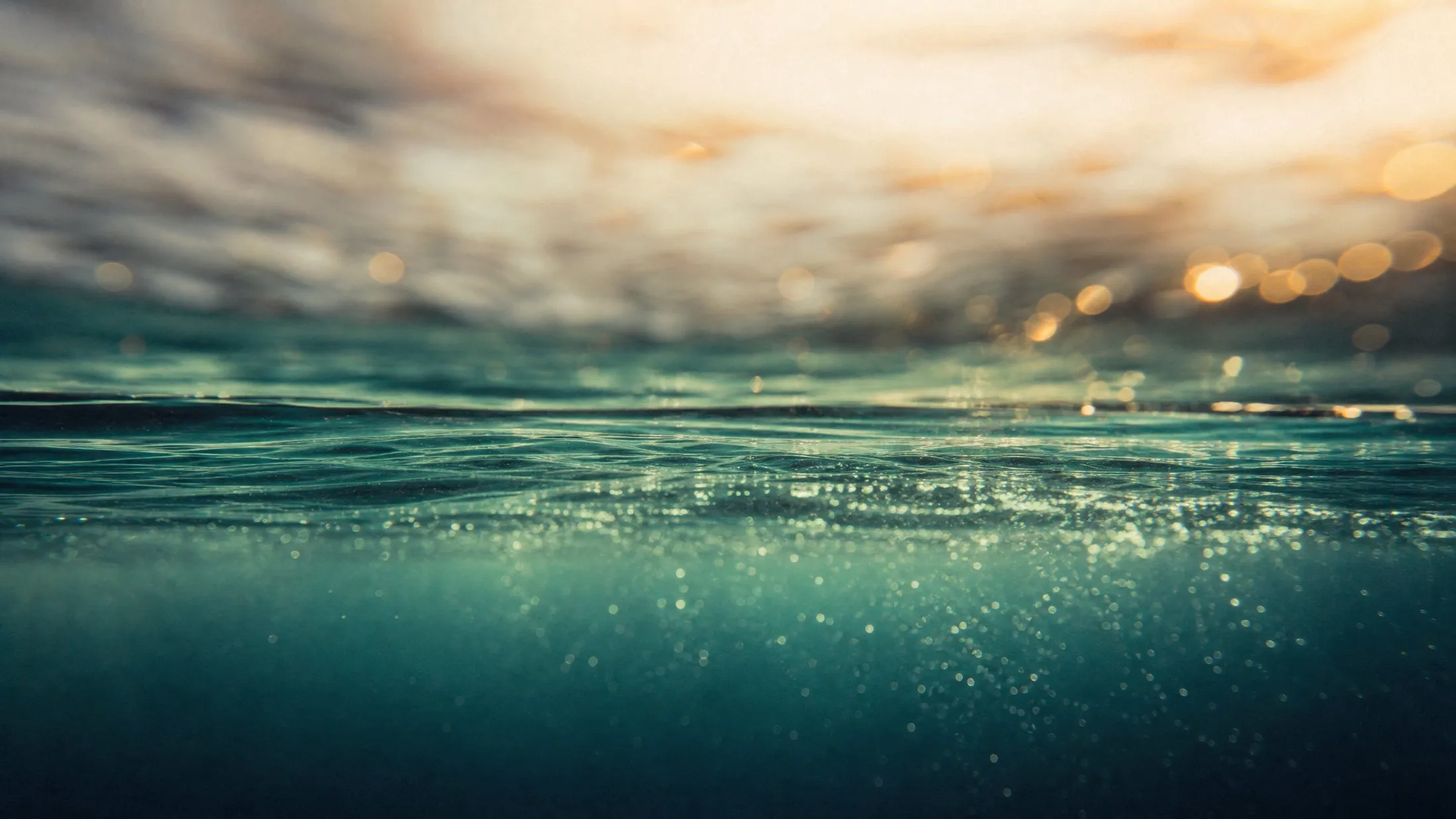 The ocean surface seen from water level, warm light above and luminous particulate below